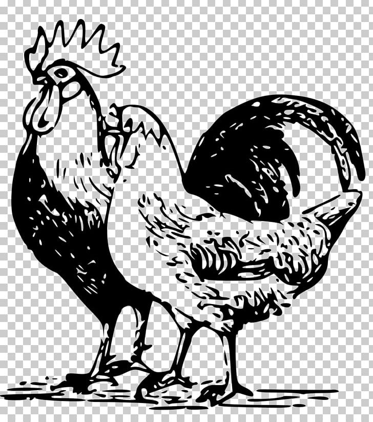 Chicken Poultry Farming Rooster PNG, Clipart, Animals, Art, Artwork, Beak, Bird Free PNG Download