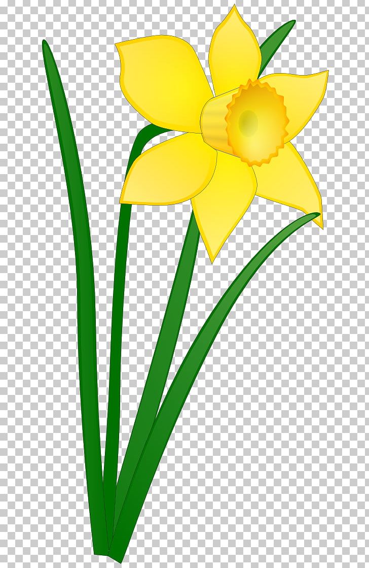 Daffodil Free Content Scalable Graphics PNG, Clipart, Amaryllis Family, Artwork, Blog, Cut Flowers, Daffodil Free PNG Download