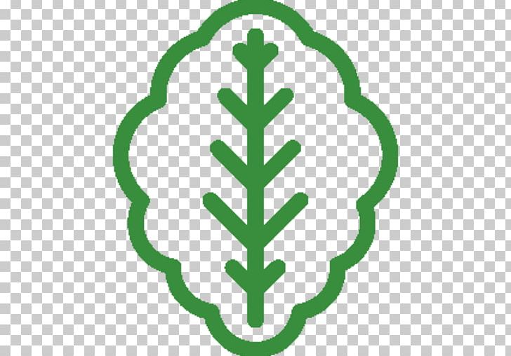 Symbol Lettuce PNG, Clipart, Area, Circle, Computer Icons, Graphic Design, Green Free PNG Download
