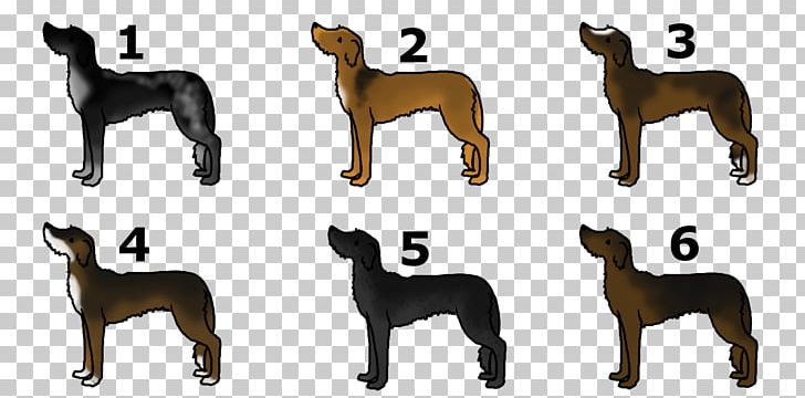 Dog Breed Wildlife Tail PNG, Clipart, Animal, Animal Figure, Animals, Breed, Carnivoran Free PNG Download
