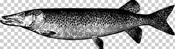 Muskellunge Drawing Flying Fish PNG, Clipart, Animals, Art, Black And White, Coho, Drawing Free PNG Download
