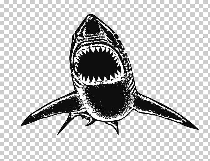 Open Water Swimming Recreation Sport Shark PNG, Clipart, Black And White, Fish, Institute, Kilometer, Open Water Swimming Free PNG Download