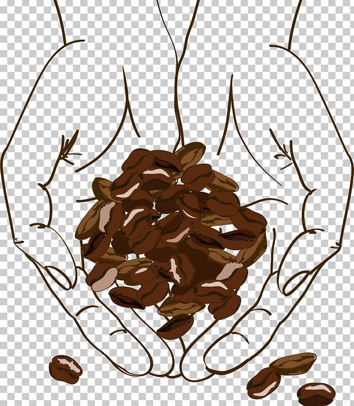 Coffee Bean Cafe Illustration PNG, Clipart, Bean, Beans, Brown, Cafe, Chocolate Free PNG Download