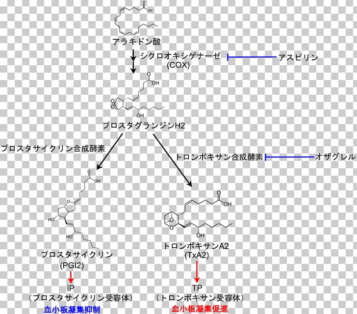 Essential Fatty Acid Interactions Dietary Supplement Prostaglandin Thromboxane Arachidonic Acid PNG, Clipart, Alphalinolenic Acid, Angle, Anti, Antiplatelet Drug, Arachidonic Acid Free PNG Download