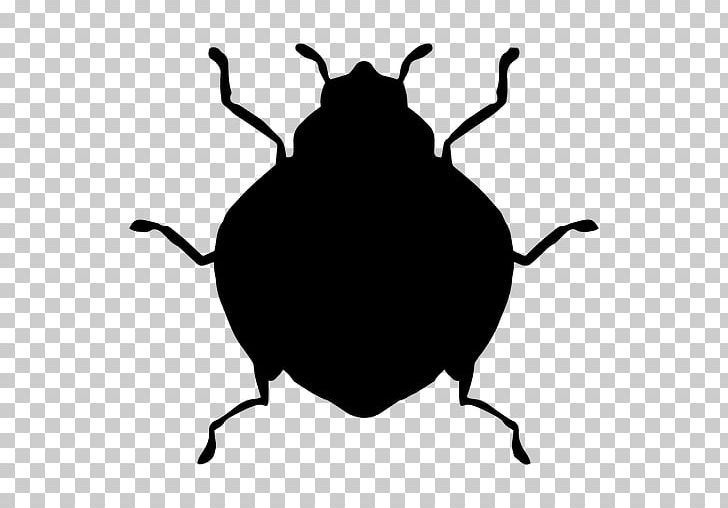 Insect PNG, Clipart, Animals, Artwork, Beetle, Black And White, Drawing Free PNG Download