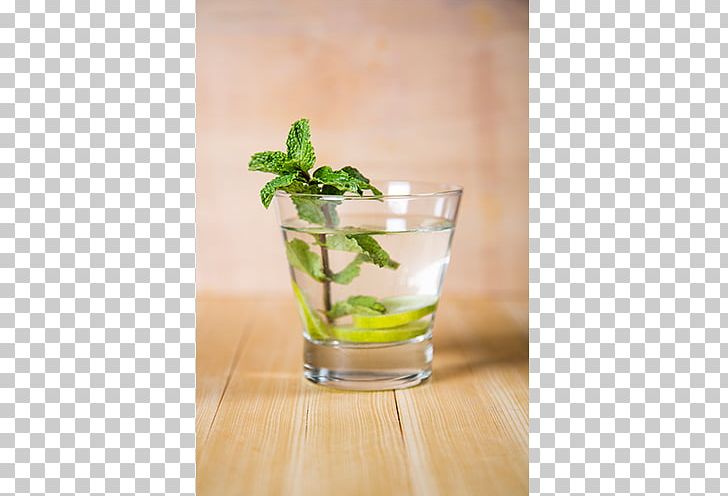 Mojito Mint Julep Cocktail Garnish Gin And Tonic PNG, Clipart, Cocktail, Cocktail Garnish, Drink, Flowerpot, Food Drinks Free PNG Download