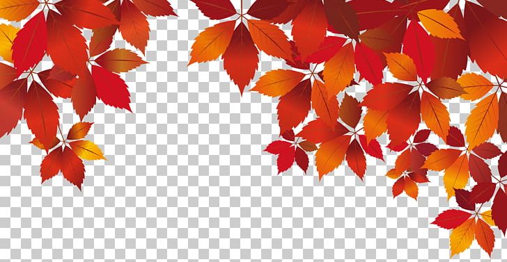 Red Autumn White PNG, Clipart, Art Museum, Autumn, Autumn Leaf Color, Blue Rose, Clip Art Free PNG Download
