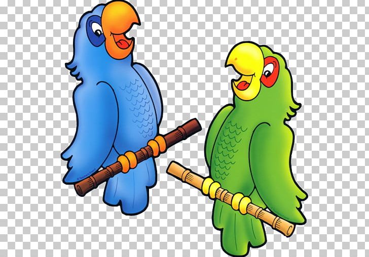 True Parrot Drawing Animation Bird PNG, Clipart, 2018, Animal Figure, Animation, Area, Artwork Free PNG Download