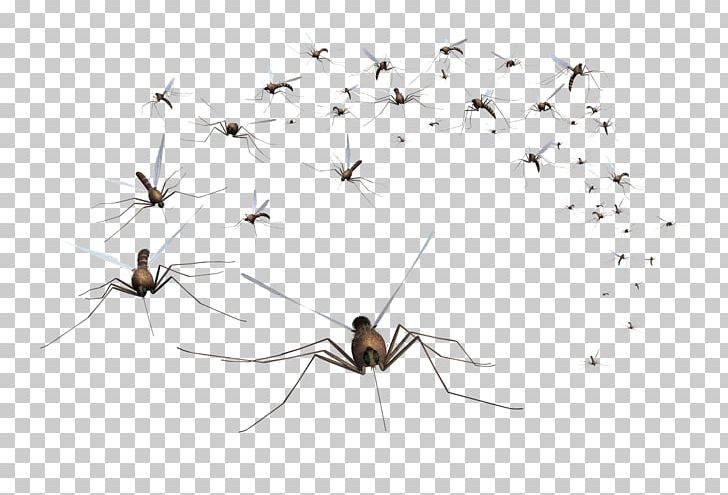 American Mosquito Control Association Pest Control PNG, Clipart, Arachnid, Arthropod, Bed Bug, Citronella Oil, Deet Free PNG Download