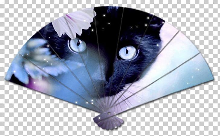 Black Cat Kitten Cuteness Art PNG, Clipart, Animal, Animals, Art, Black Cat, Black Panther Free PNG Download
