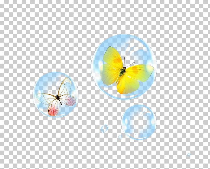Butterfly PNG, Clipart, Animal, Animation, Blue, Bubbles, Butterflies And Moths Free PNG Download