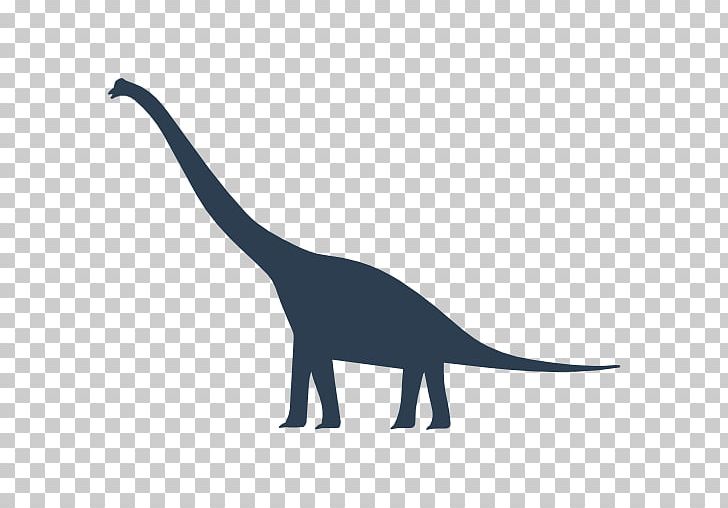 Dinosaur Size Brachiosaurus Tyrannosaurus Apatosaurus PNG, Clipart, Apatosaurus, Brachiosaurus, Brontosaurus, Compsognathus, Computer Icons Free PNG Download