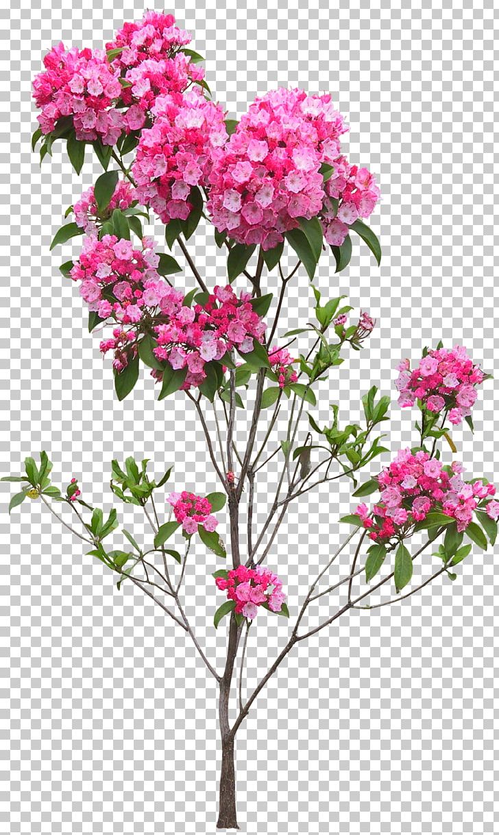 Flower Floral Design PNG, Clipart, Blossom, Branch, Bushes, Cut Flowers, Desktop Wallpaper Free PNG Download