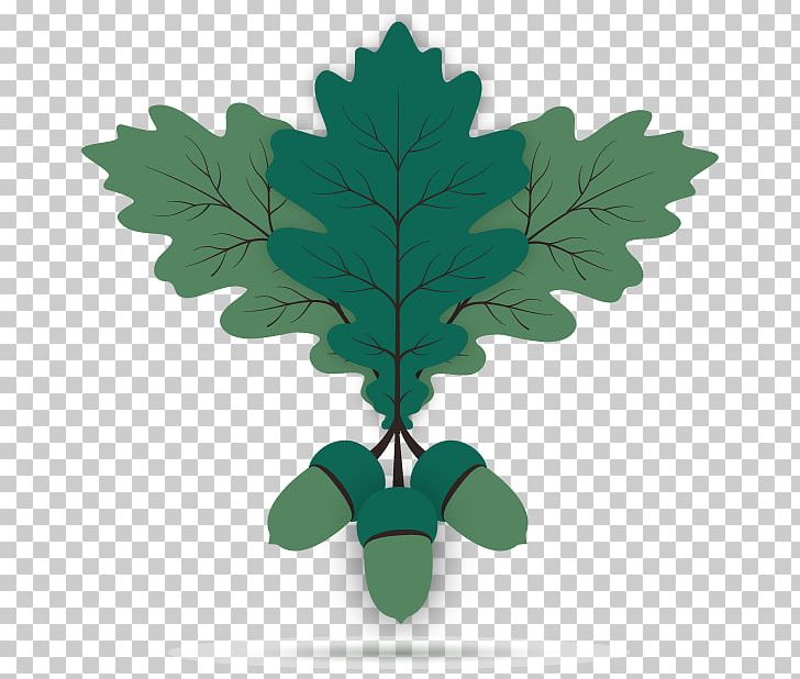 Oak Acorn Leaf Euclidean PNG, Clipart, Acorn, Acorns, Background Green, Encapsulated Postscript, Euclidean Vector Free PNG Download