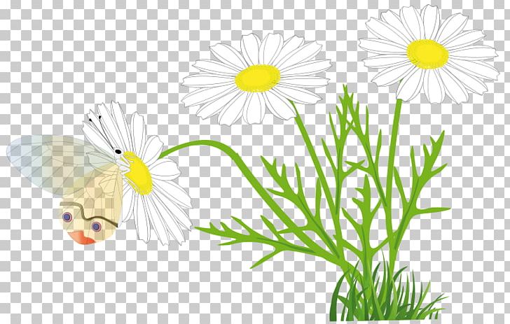 Others Grass Plant Stem PNG, Clipart, Artwork, Blog, Butterfly, Chamaemelum Nobile, Chamomile Free PNG Download