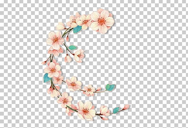 Photography PNG, Clipart, Branch, Cherry Blossom, Christmas Decoration, Computer, Decorative Free PNG Download
