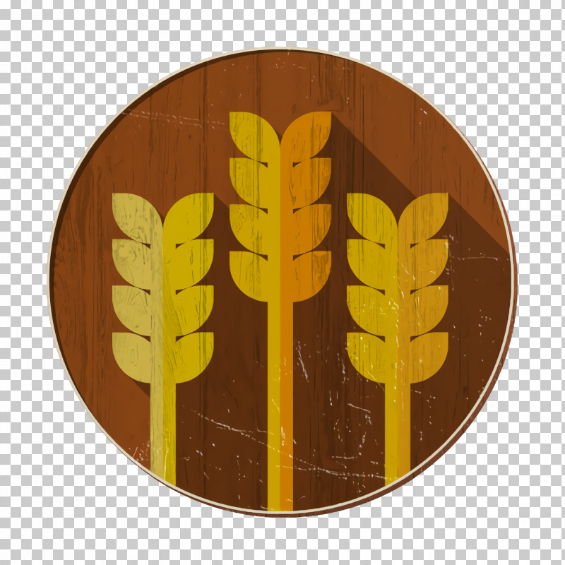 Rice Icon Wheat Icon Agriculture Icon PNG, Clipart, Agriculture Icon, Biology, Leaf, Meter, Plant Free PNG Download
