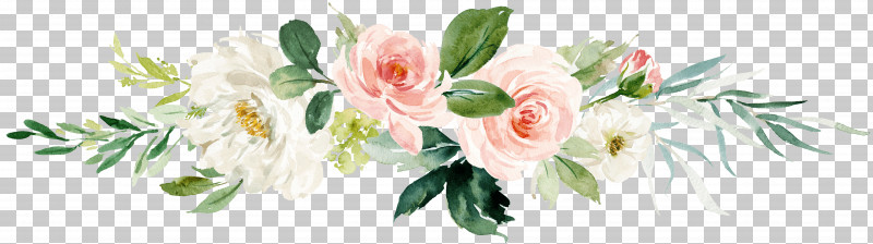 Garden Roses PNG, Clipart, Bouquet, Cut Flowers, Flower, Garden Roses, Petal Free PNG Download