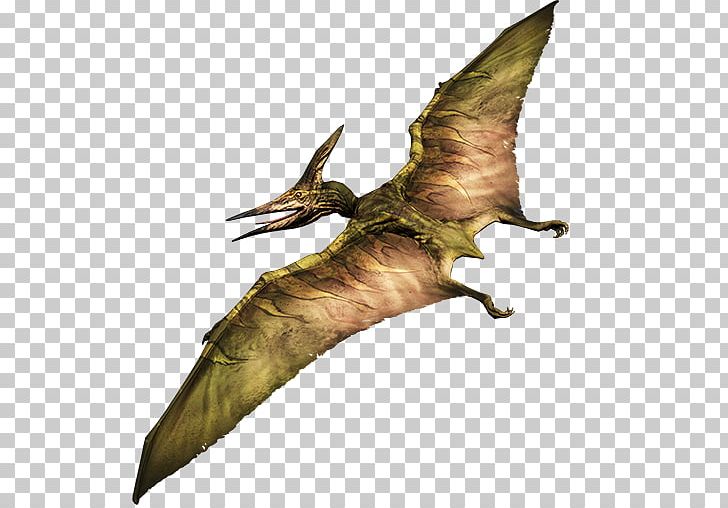 Pteranodon Primal Carnage: Extinction Pterodactyl Dinosaur PNG, Clipart, Archaeopteryx, Beak, Claw, Dinosaur, Fantasy Free PNG Download