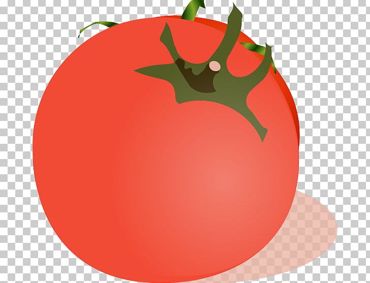 Tomato Marinara Sauce Vegetable PNG, Clipart, Apple, Christmas Ornament, Desktop Wallpaper, Food, Fried Green Tomatoes Free PNG Download