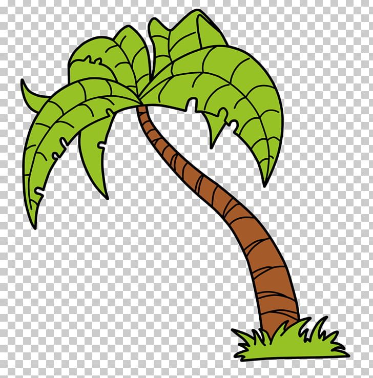 Arecaceae Tree PNG, Clipart, Arecaceae, Artwork, Coconut, Download, Leaf Free PNG Download