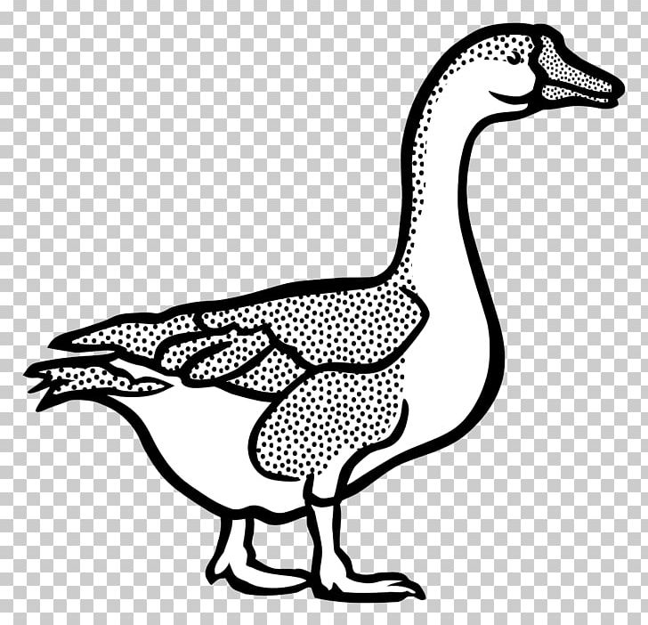 Canada Goose Duck PNG, Clipart, Animal Figure, Animals, Artwork, Beak, Bird Free PNG Download