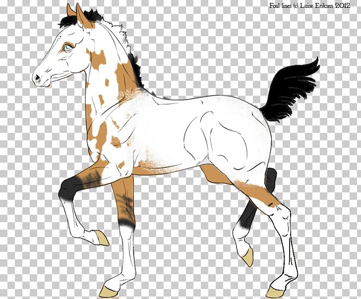 Foal Stallion Pony Colt Mustang PNG, Clipart, Bridle, Colt, Cordon Bleu, English Riding, Fictional Character Free PNG Download