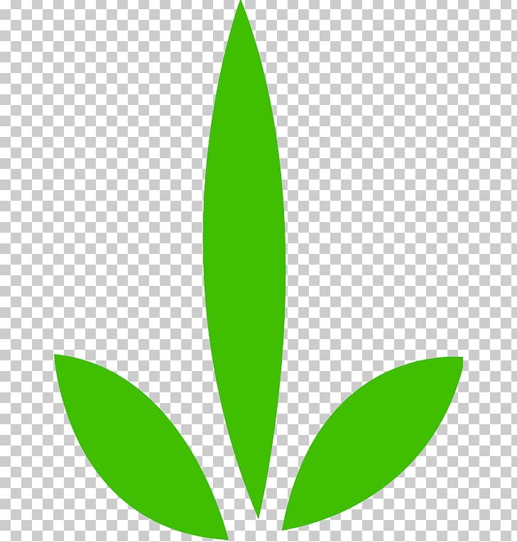 Leaf Computer Icons PNG, Clipart, Computer Graphics, Computer Icons, Grass, Green, Kilobyte Free PNG Download