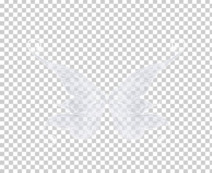 White Moth PNG, Clipart, Black And White, Butterfly, Insect, Invertebrate, Moth Free PNG Download