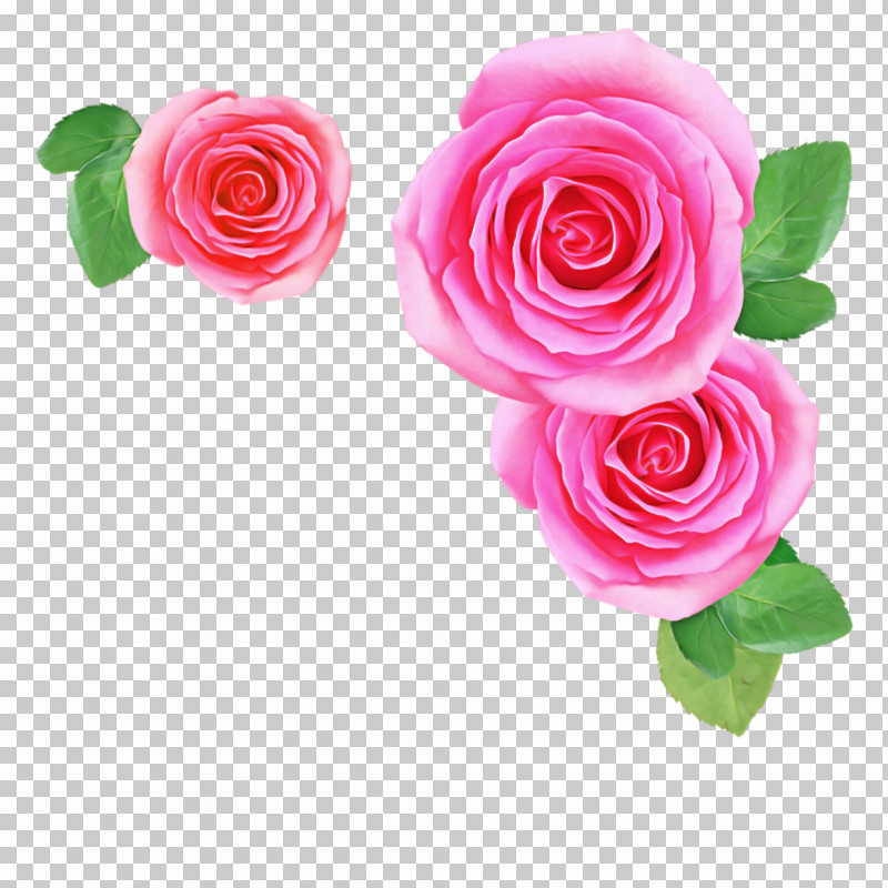 Garden Roses PNG, Clipart, Artificial Flower, Camellia, Cut Flowers, Floribunda, Flower Free PNG Download
