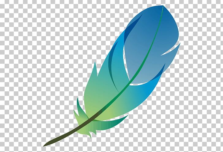 Bird Feather Quill Color Ganso PNG, Clipart, Bird, Blue, Bonnet, Book, Color Free PNG Download