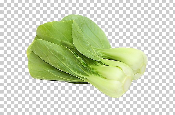 Bok Choy Vegetable U4e0au6d77u767du83dc Napa Cabbage Allium Fistulosum PNG, Clipart, Bok Choy, Brassica Oleracea, Cabbage, Cabbage Leaves, Chinese Cabbage Free PNG Download