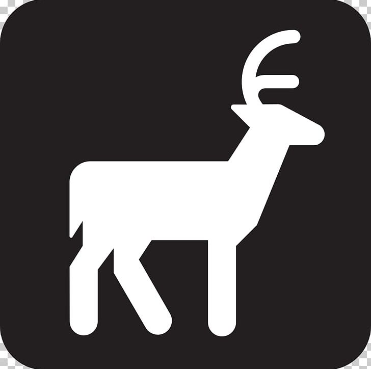 Reindeer White-tailed Deer Deer Hunting PNG, Clipart, Black And White, Campsite, Cartoon, Computer Icons, Deer Free PNG Download