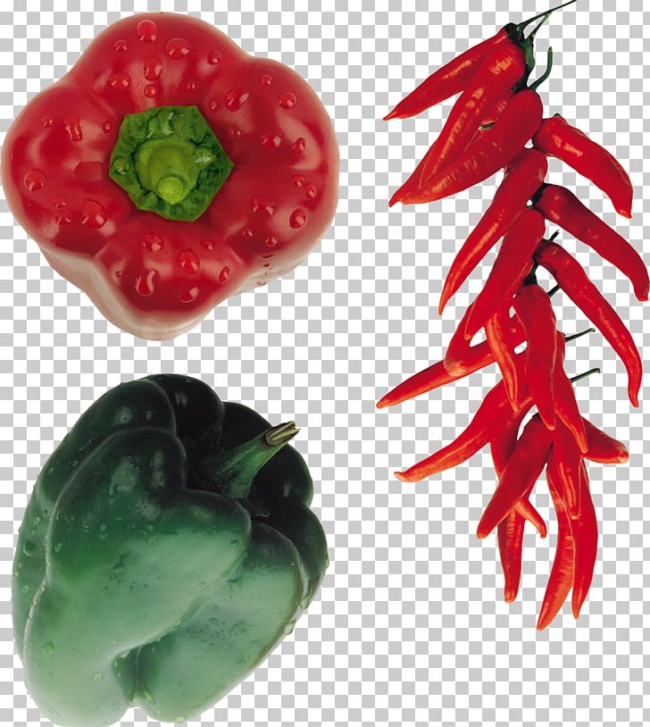 Bird's Eye Chili Cayenne Pepper Bell Pepper Chili Pepper Vegetable PNG, Clipart, Bell Pepper, Bell Peppers And Chili Peppers, Birds Eye Chili, Black Pepper, Cayenne Pepper Free PNG Download