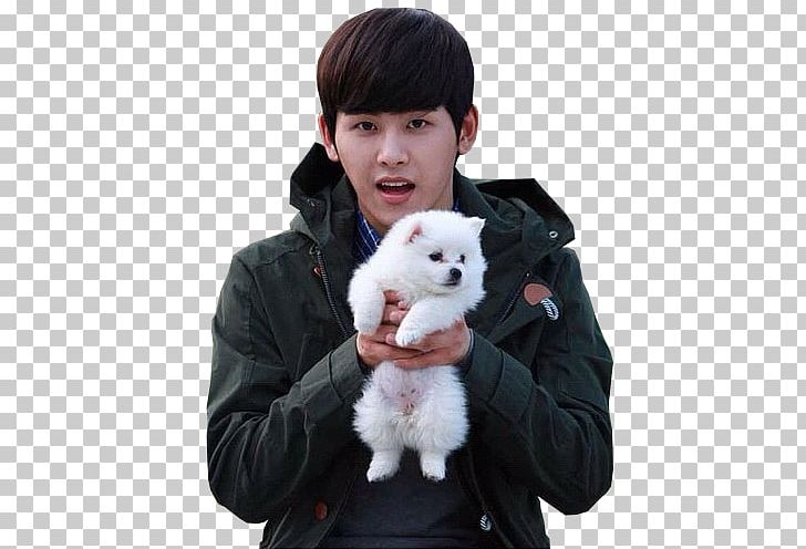 Hoya Reply 1997 South Korea Infinite Kang Joon-hee PNG, Clipart, Actor, Air, Celebrities, Dog Breed, Dog Breed Group Free PNG Download