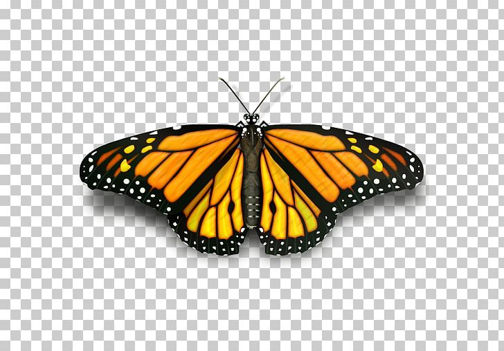 Monarch Butterfly Pieridae Brush-footed Butterflies PNG, Clipart, Arthropod, Brush Footed Butterfly, Butterflies And Moths, Butterfly, Color Free PNG Download