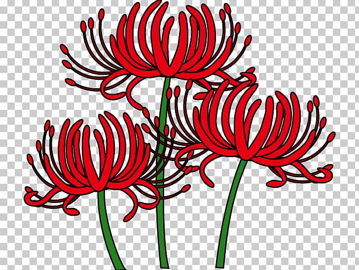 Red Spider Lily Higan Lycorine Png Clipart Artwork Batas Black And White Bulb Chrysanthemum Free Png
