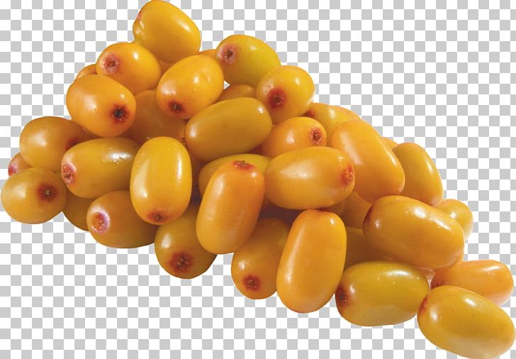 Seaberry Extract Sea Buckthorn Oil PNG, Clipart, Auglis, Commodity, Extraction, Flavones, Flavonoid Free PNG Download