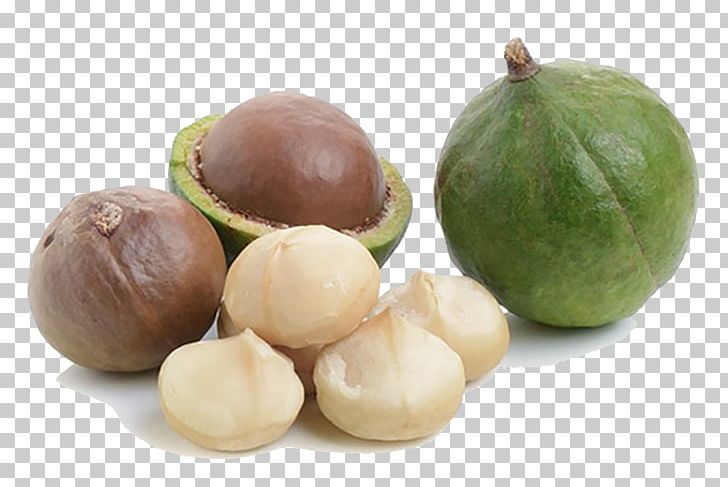 Walnut Macadamia Nut NaturaZen Srls PNG, Clipart, Background Size, Biscuit, Food, Fruit, Fruit Nut Free PNG Download