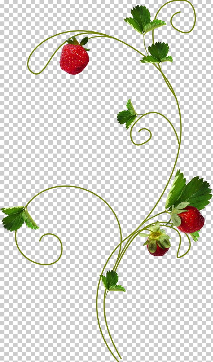 Blog Strawberry PNG, Clipart, Amorodo, Berry, Blog, Branch, Computer Icons Free PNG Download