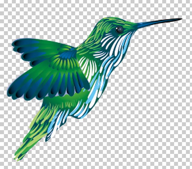 Hummingbird Kingfisher PNG, Clipart, Animal, Background Green, Beak, Bird, Birds Free PNG Download