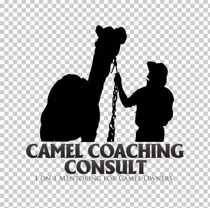 Bactrian Camel Australian Feral Camel Camel Milk Saddle PNG, Clipart, Animals, Australian Feral Camel, Bactrian Camel, Behavior, Black And White Free PNG Download