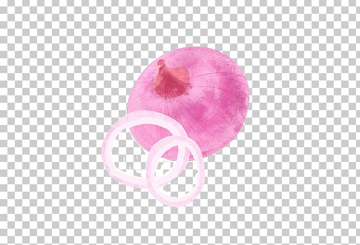 Onion Ring Vegetable Red Onion PNG, Clipart, Color, Color Paintings, Egg, Euclidean Vector, Eyes Free PNG Download