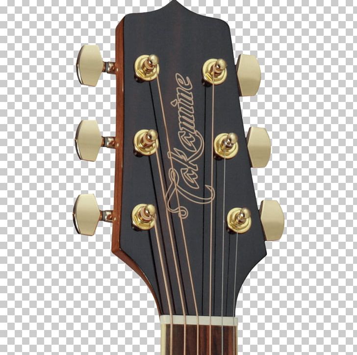 Takamine Guitars Acoustic Guitar Dreadnought Acoustic-electric Guitar PNG, Clipart, Acoustic Electric Guitar, Cutaway, Guitar Accessory, Plucked String Instruments, Rosewood Free PNG Download