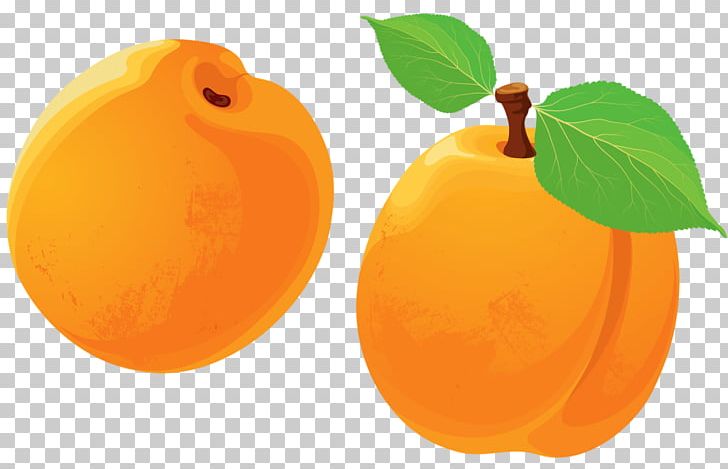 Tangerine Apricot Peach PNG, Clipart, Apricot, Citrus, Diet Food, Diospyros, Drawing Free PNG Download