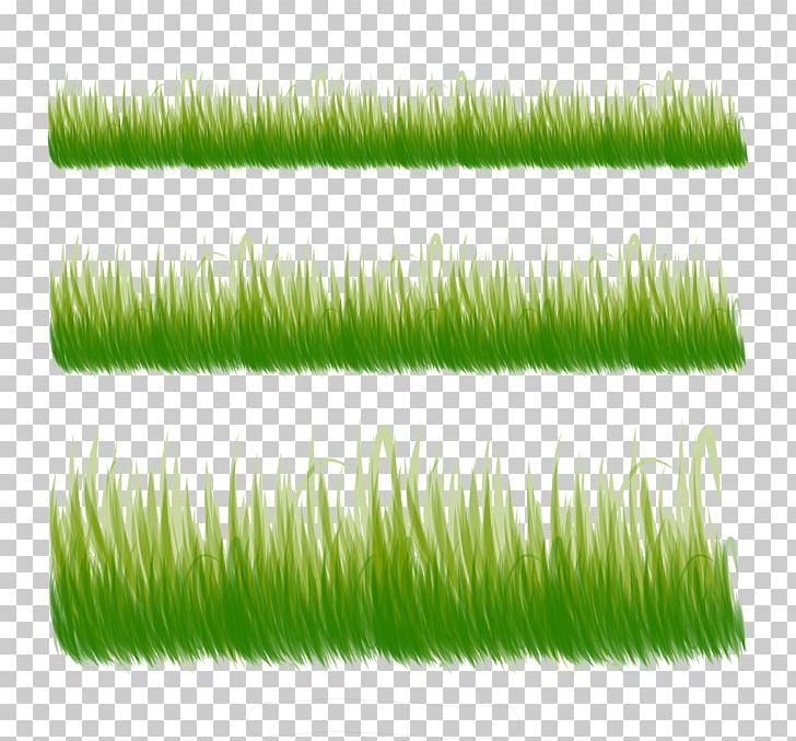 Three Kind Of Grass PNG, Clipart, 10000, Artificial Grass, Computer Graphics, Download, Euclidean Vector Free PNG Download