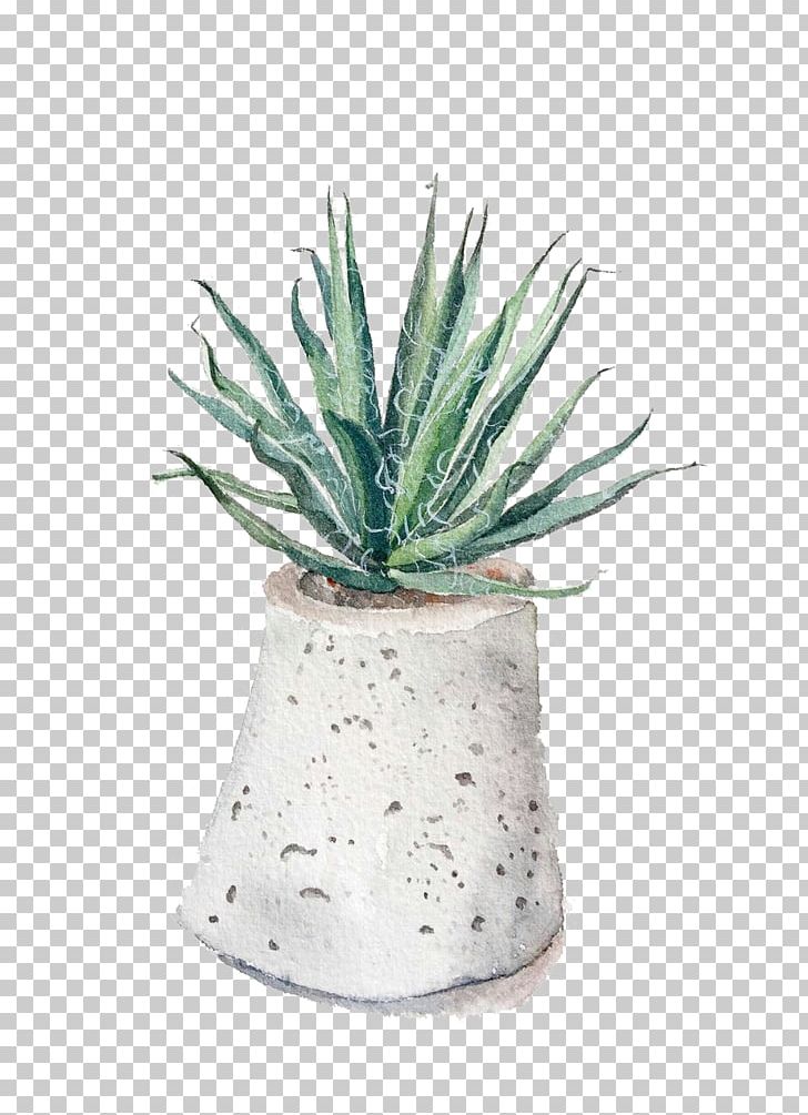 Aloe Vera Euclidean Gratis PNG, Clipart, Agave, Aloe, Aloe Vera, Concepteur, Download Free PNG Download