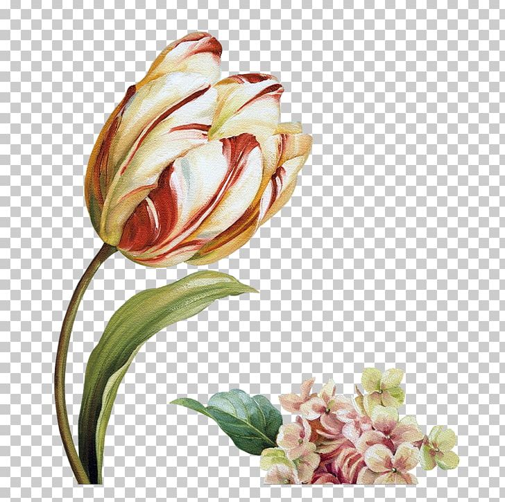 Cut Flowers Floral Design Painting PNG, Clipart, Art, Audit, Cut Flowers, Decoupage, Drawing Free PNG Download
