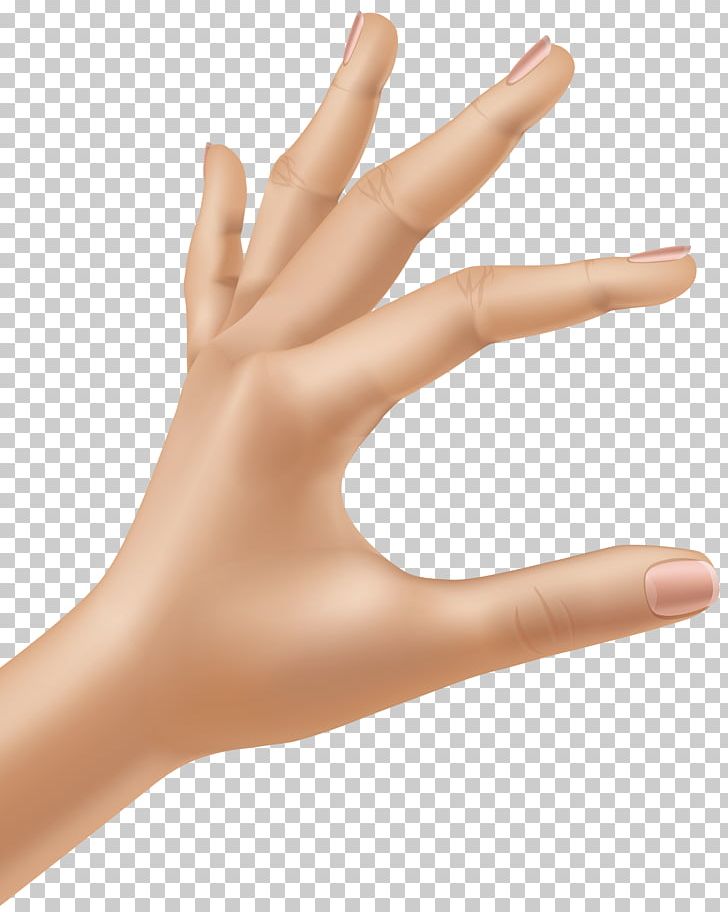 Photography Clipart Hands PNG, Clipart, Arm, Clipart, Clip Art, Digit, Finger Free PNG Download