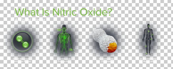 Nitric Oxide Nitric Acid Inflammation Novan PNG, Clipart, Antimicrobial, Bacteria, Brand, Human Physiology, Inflammation Free PNG Download